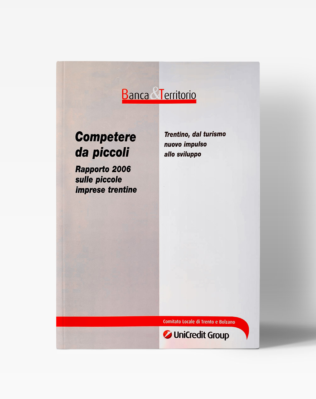 Copertina del libro "Competere da piccoli - Rapporto 2006 sulle piccole imprese trentine"
