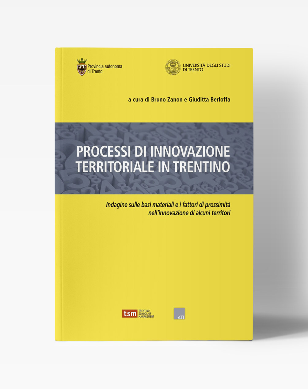 Copertina del libro "Processi di innovazione territoriale in Trentino - Indagine sulle basi materiali e i fattori di prossimità nell'innovazione di alcuni territori"